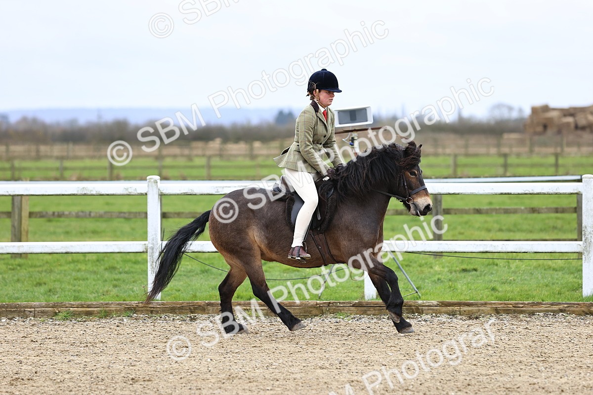 SBM_006756 - Class 29 - 30 - M&M Pure Novice Small-Large Breeds