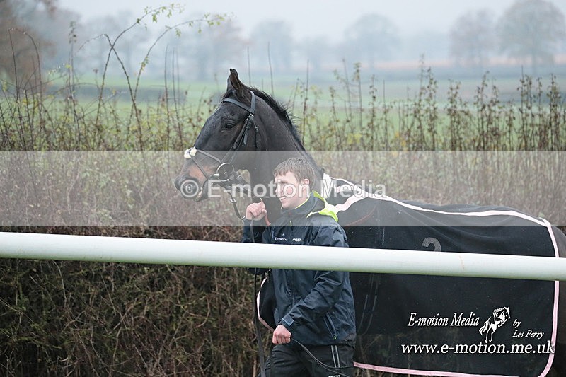 PtP 031223 12 - Wheatland Hunt PtP Chaddesley Races 03/12/23