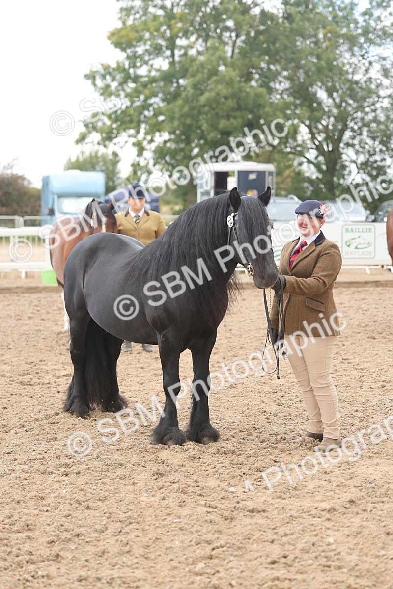 SBM_03238 - Class 16 - IH M&M Wildcard