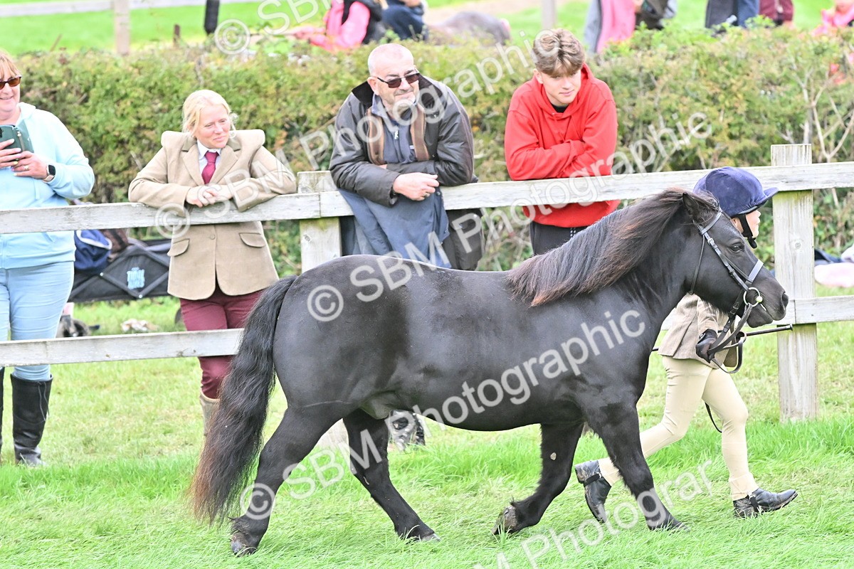 SBM_66783 - S41 - Junior Handler 8 Years & Under