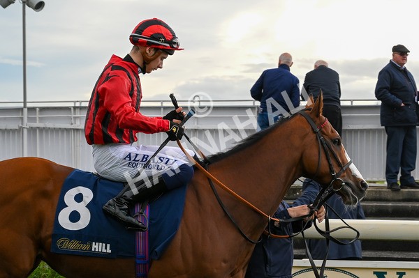 131023-Race 4-Hafeet Alain-7897 - Race 4 3.50pm William Hill Autumn Mile Handicap