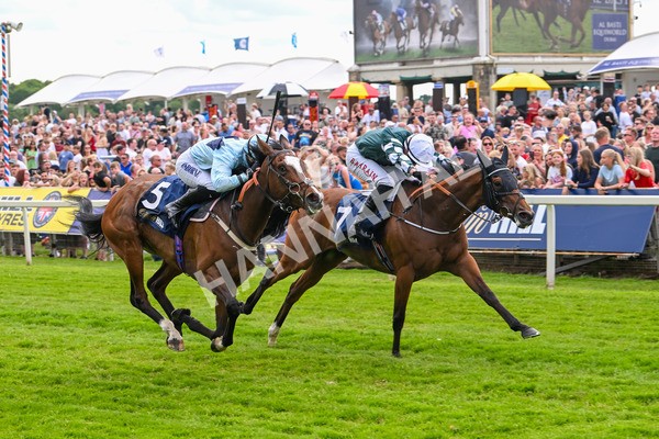 310525-Race 4-Scenic-9636 - Race 4 3.15pm William Hill Bronte Cup Fillies' Stakes