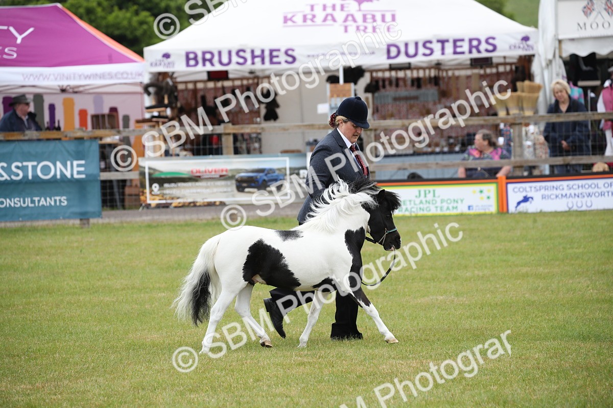 SBM_03819 - Class 23-25 - British Miniature Horse of the Year