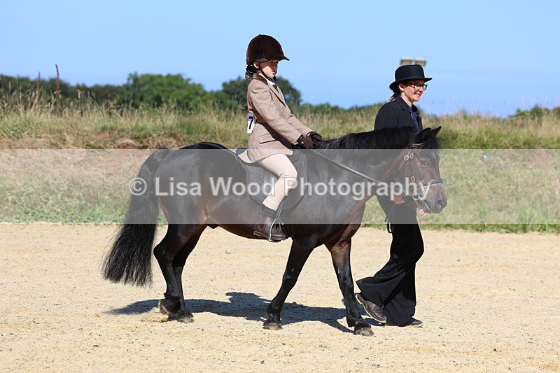 3E7A8001 - Class 15: Lead Rein