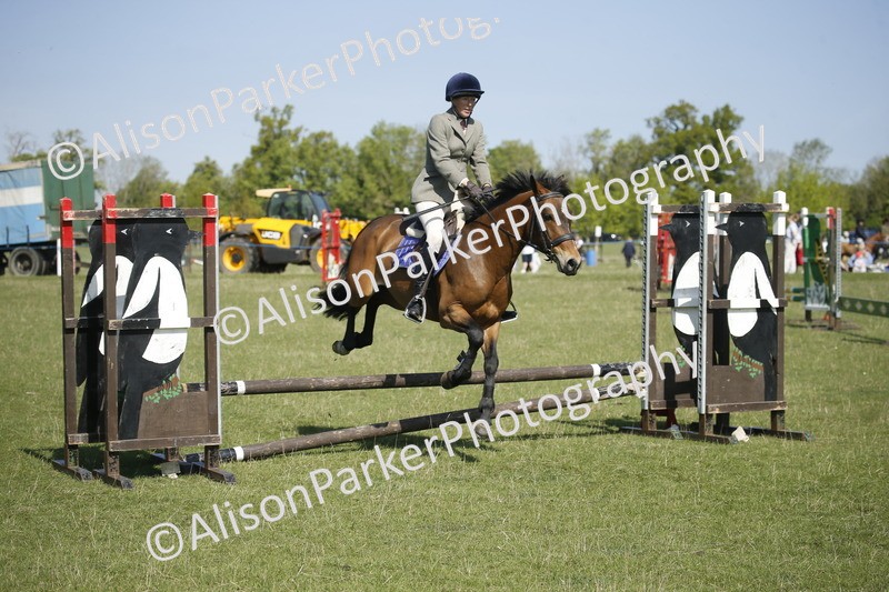 20250427-1981 - Class 13 - Novice Jumping 60cm