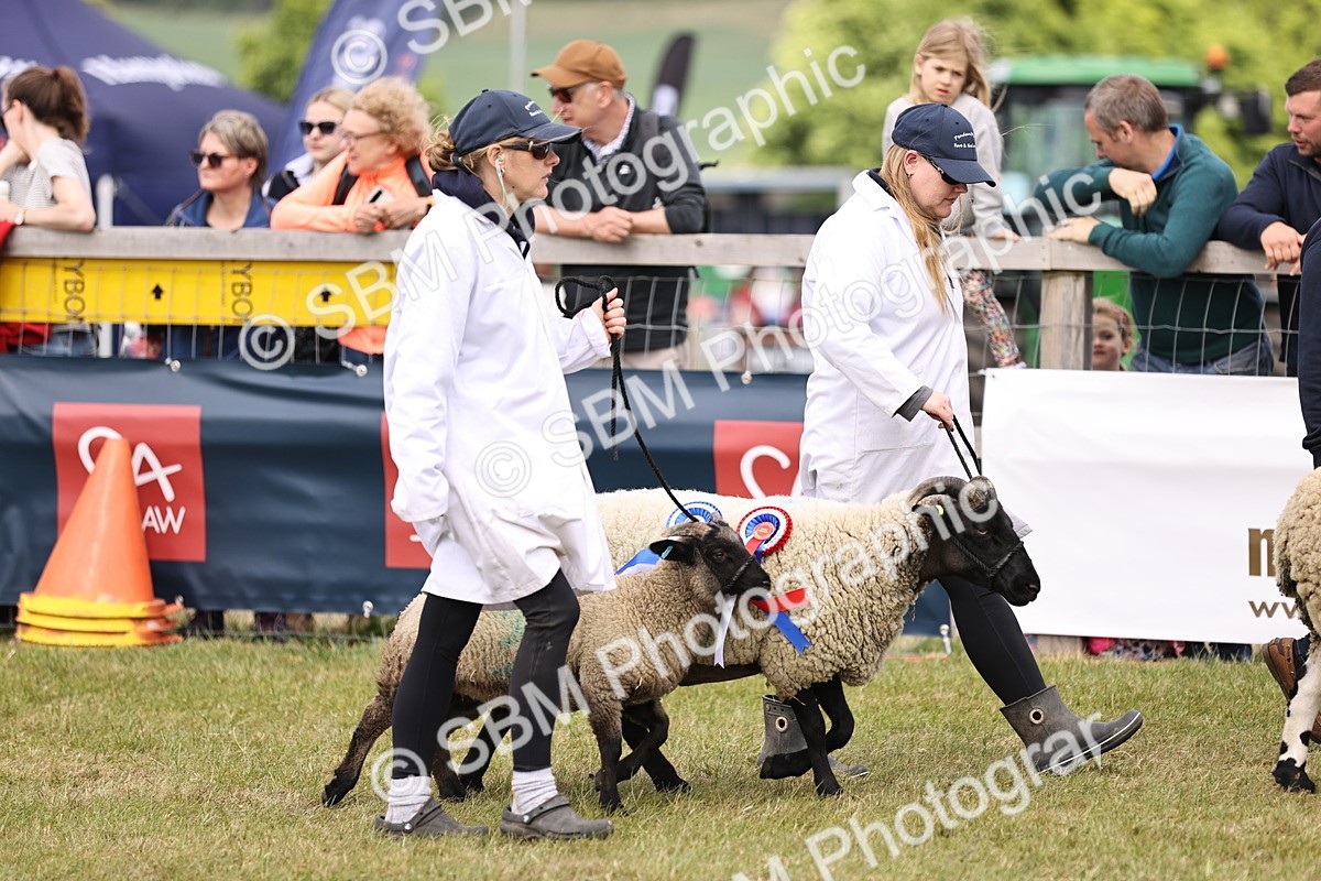 SBM_16863 - Grand Parade
