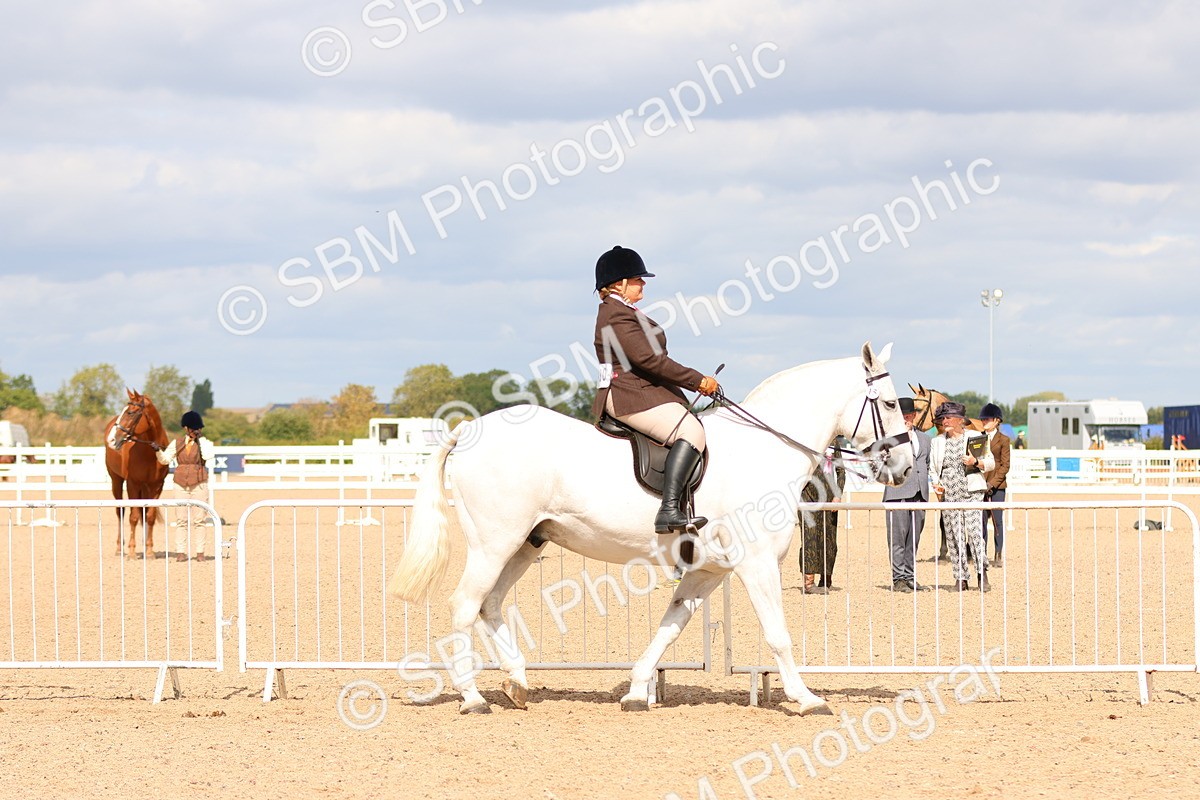 SBM_15456 - Class 214 - Ridden Show Cob