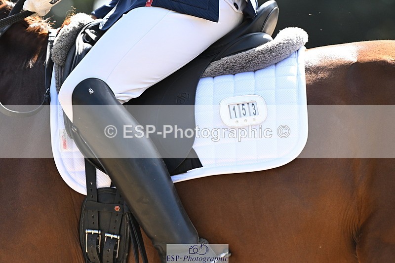 250808A-163904-02131 - 153-Angus.Corrie-DeaneVeyron.II