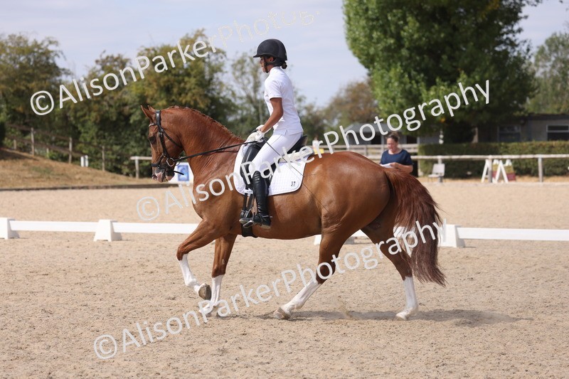 20260815-0995 - Class 5 - Novice 1