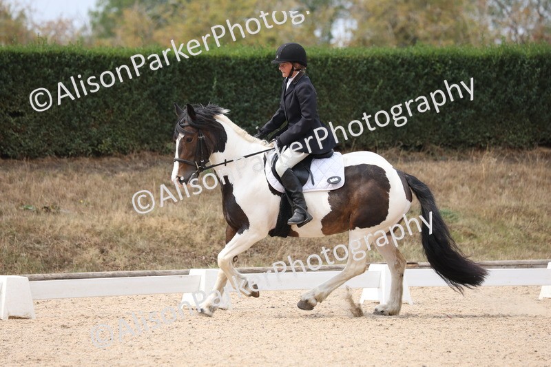 20250819-1349 - Class 4 - Novice 2