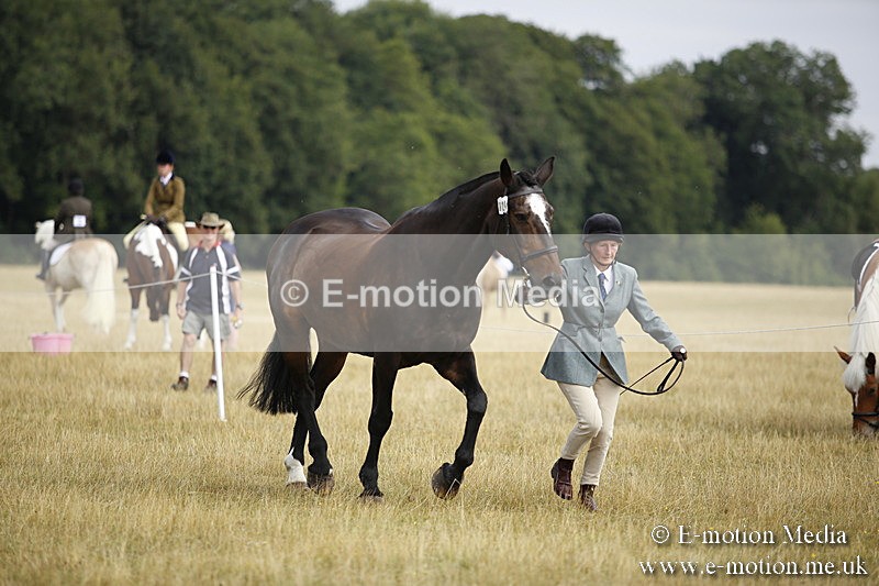 _C7A9416 - BVRC Sow 2018 Ring 2