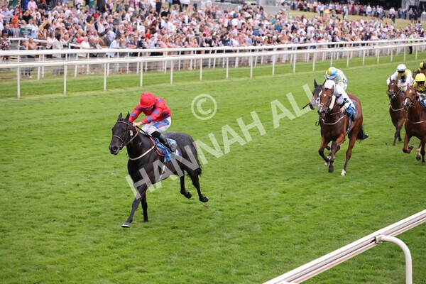 yr23072021r6-17 - Race 6 8.30pm Sky Bet Go-Racing-In-Yorkshire Summer Festival Stakes