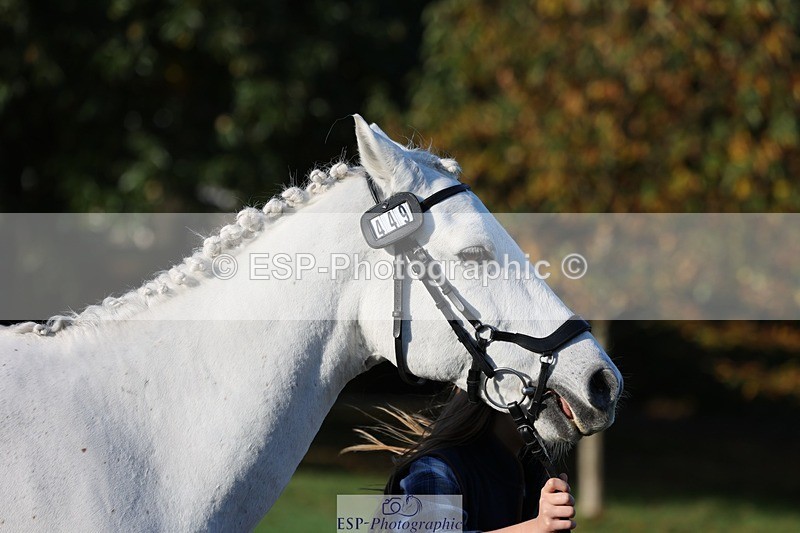 241027-085750-14926 - 449-Poppy.Murfin-SILVER.ECHO