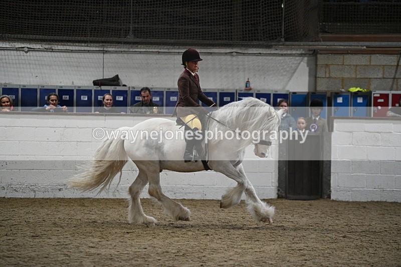 WJ7_4209 - Class 17 Ridden Cob