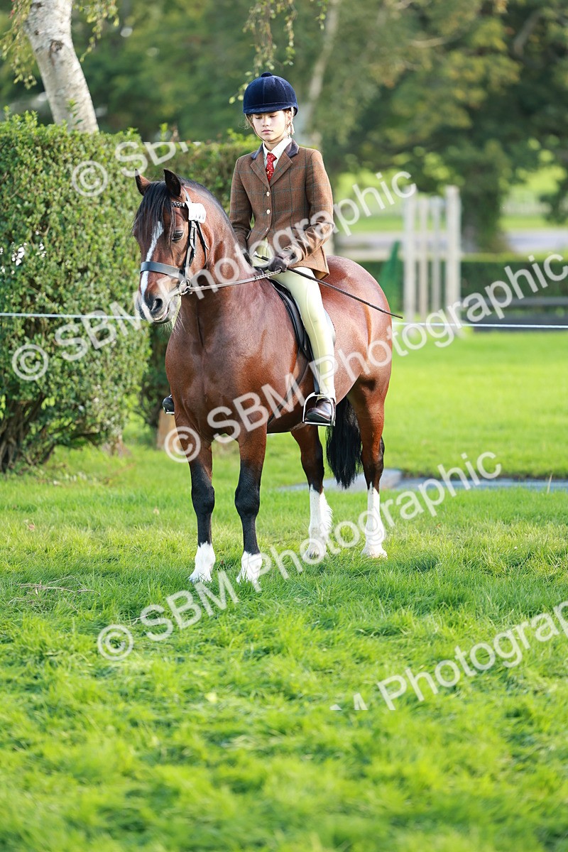 SBM_28782 - S7 - Novice & Newcomer Ridden Pony