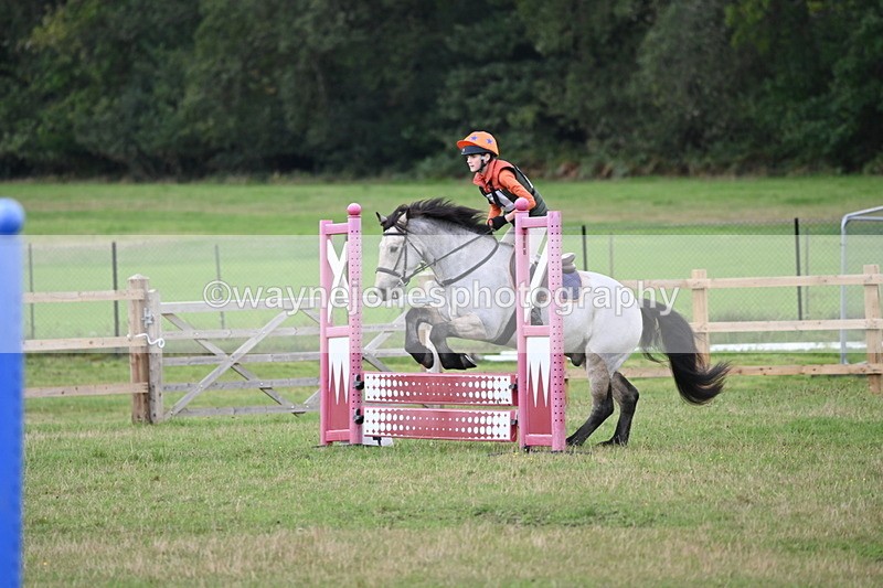 WJ6_1603 - 60cm Time 12:11 to 12:28