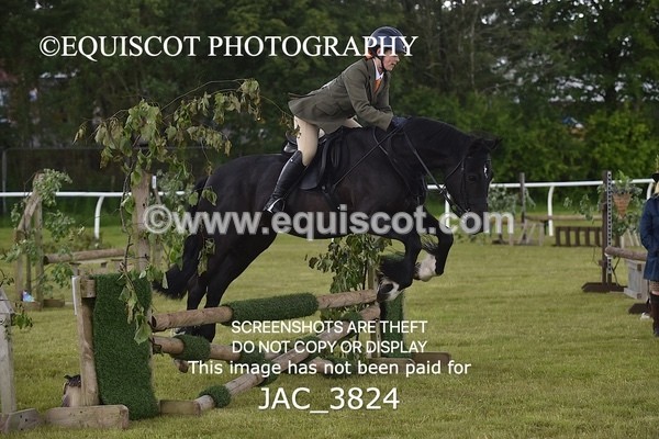 JAC_3824 - 65cm WORKING HUNTER