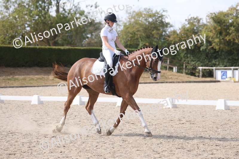 20260815-1128 - Class 6 - Novice 2
