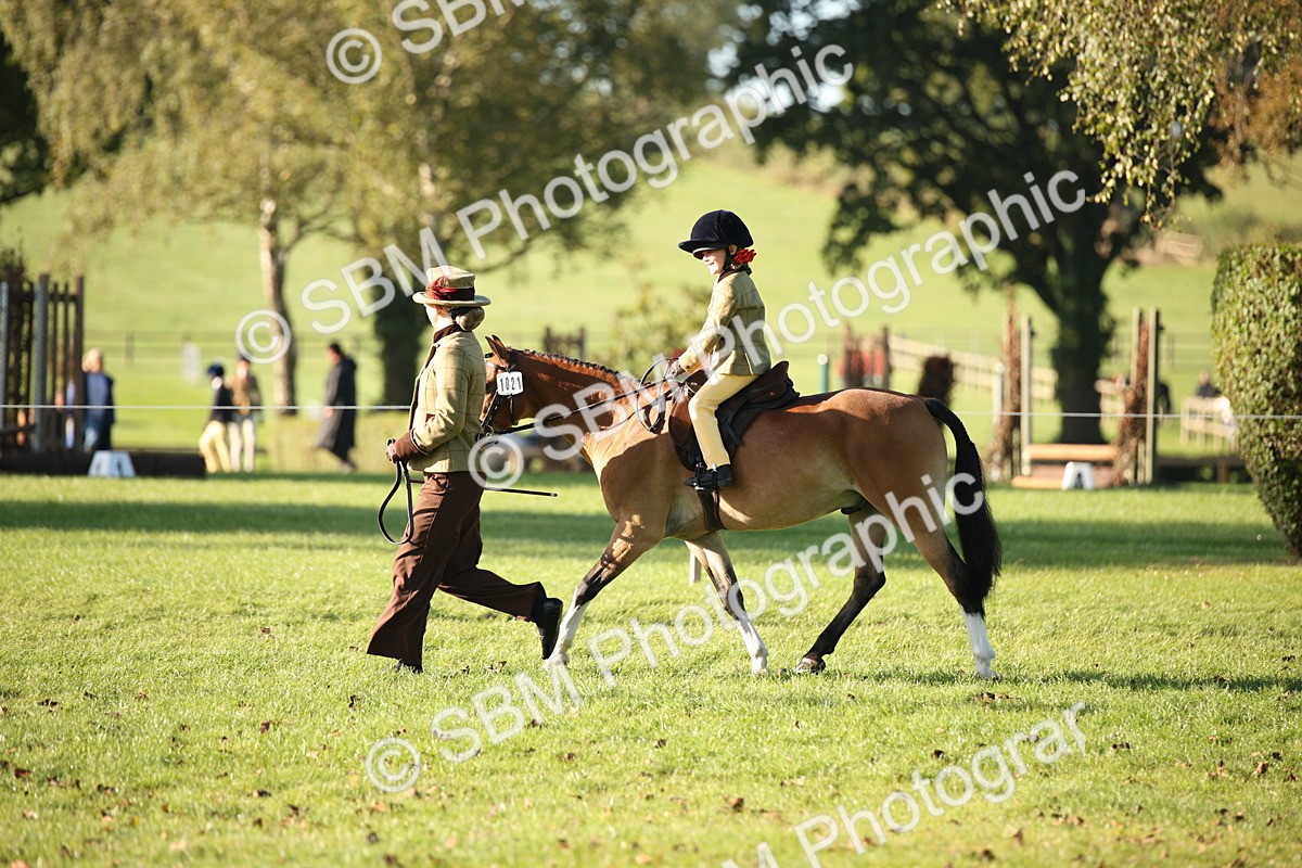 SBM_34211 - S9 - Lead Rein Equitation