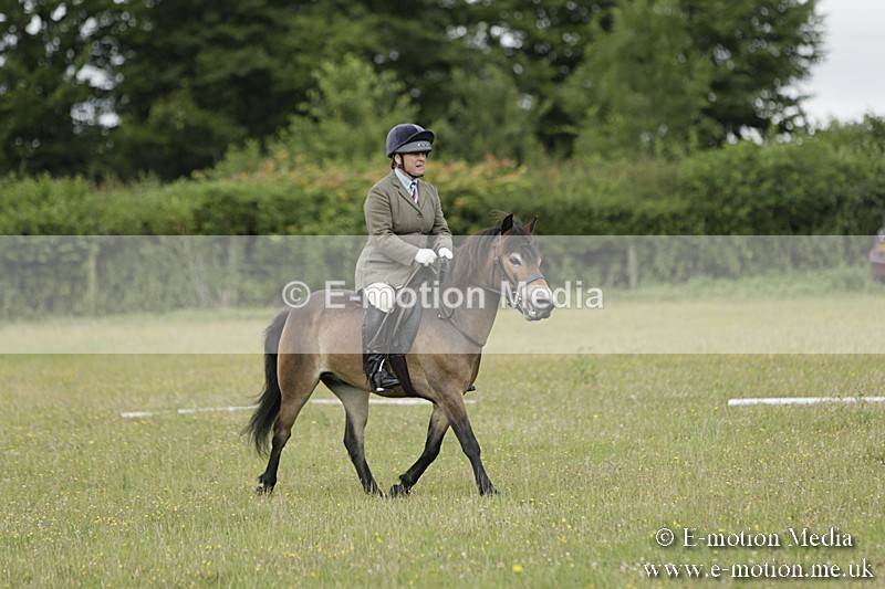BVR160717-587 - Class 1 & 23a Dressage 16/07/17