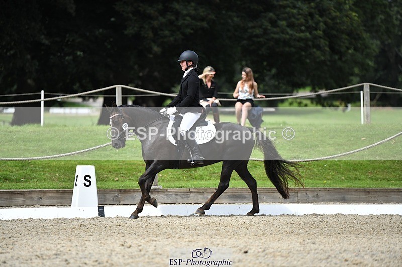 230812-121459-04072 - Cls 6 Novice Silver 12.10 to End