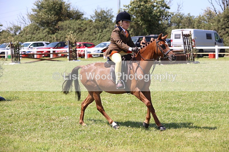 JPP_2242 - Class 20: Tiny Tots Working Hunter Pony