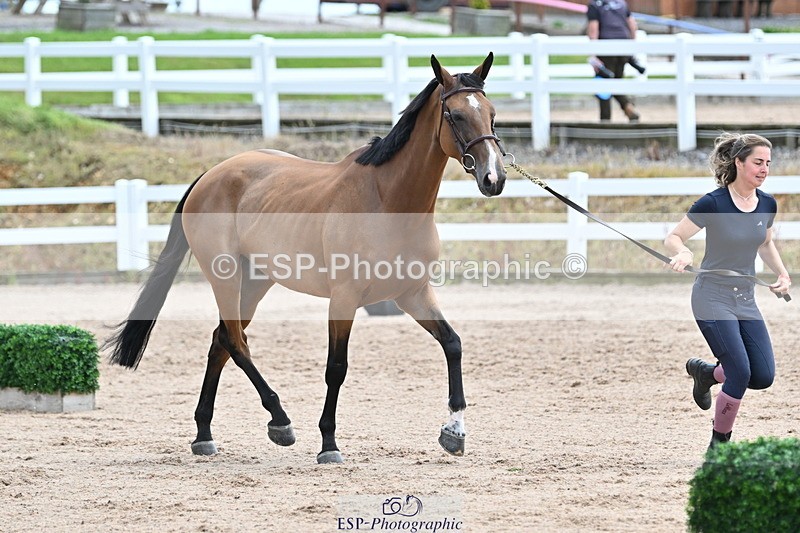 240717A-143049-02095 - Trot Up 2pm to 3pm - This folder is not in time order