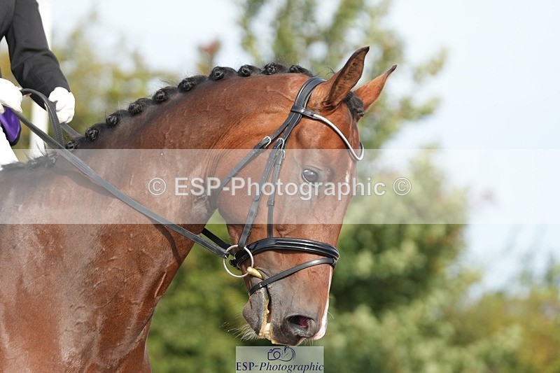 250906-093610-01150 - 031-Rebecca.ParsonageMr.T.STW