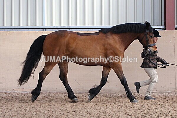 SIAL9443 - Indoor Classes