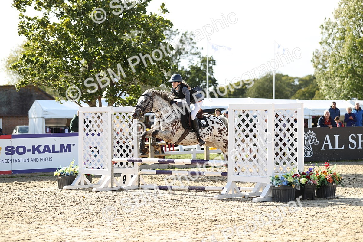 SBM_49629 - J22 - Junior Horse 65cm Championship