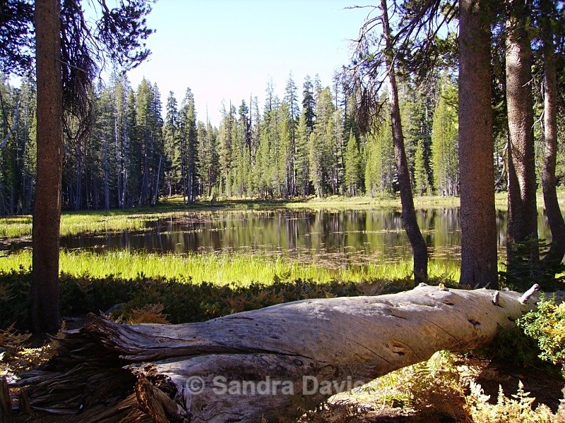 Yosemite NP, USA - Landscapes