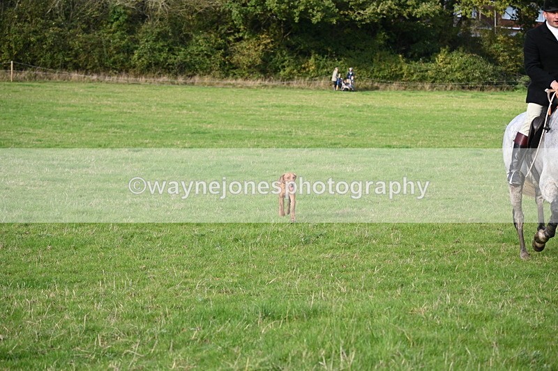 WJ6_5559 - Camera 1