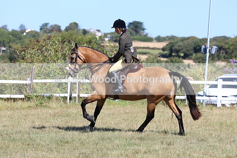 3E7A5830 - Class 5: Working Hunter 90cm