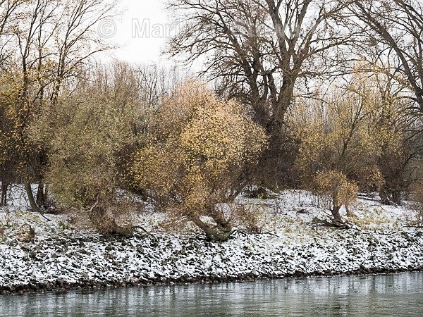 Riverbank scene -4 - Budapest to Amsterdam in Autumn