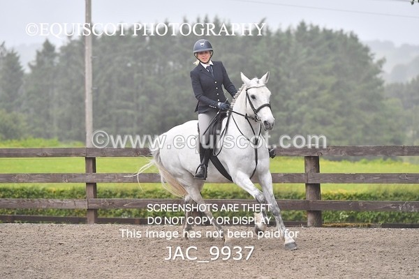 JAC_9937 - CLASS 3 Intermediate Working Hunter (0.70m - 0.85m)