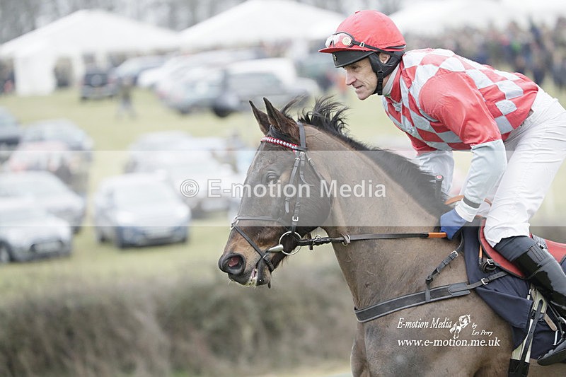 PtP 040323 455 - Duke of Beauforts Hunt Point-to-Point Didmarton 04/03/23