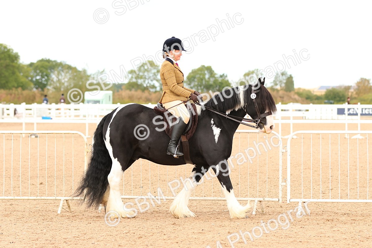 SBM_15645 - Class 215 - Ridden Traditional - Native Cobs