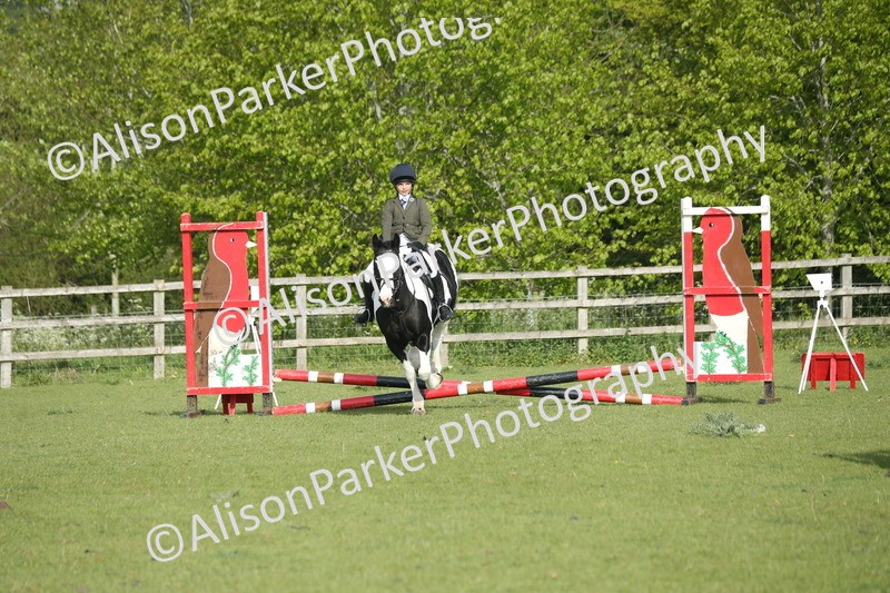 20260426-0013 - Class 13 - Rookie Jumping 50cm