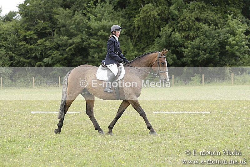 BVR160717-1478 - Class 3 Dressage 16/07/17