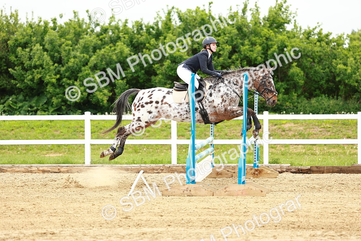 SBM_000338 - Class 2 - Senior British Novice - 90cm