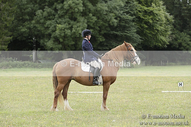 BVR160717-1238 - Class 2 Dressage 16/07/17