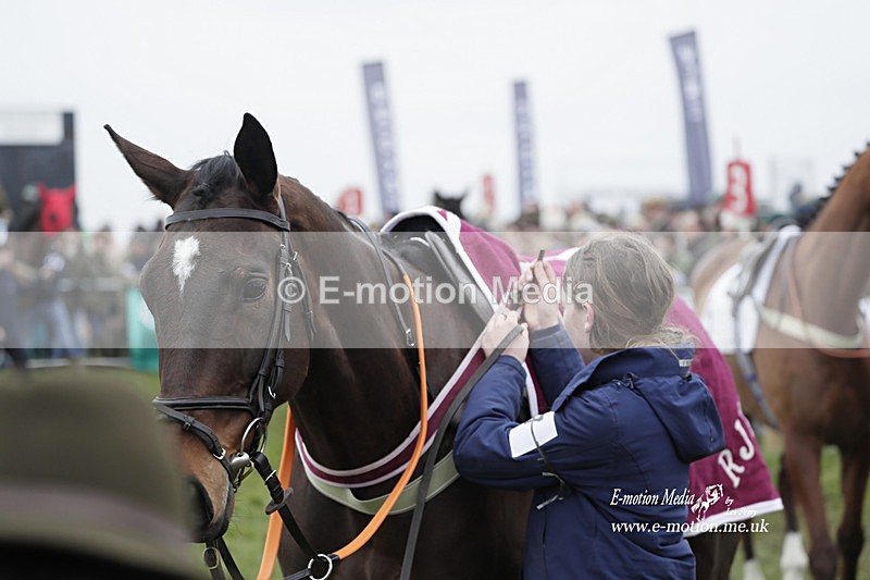 PtP 050323 539 - Blackmore & Sparkford Vale Hunt PtP - Somerset 05/03/23