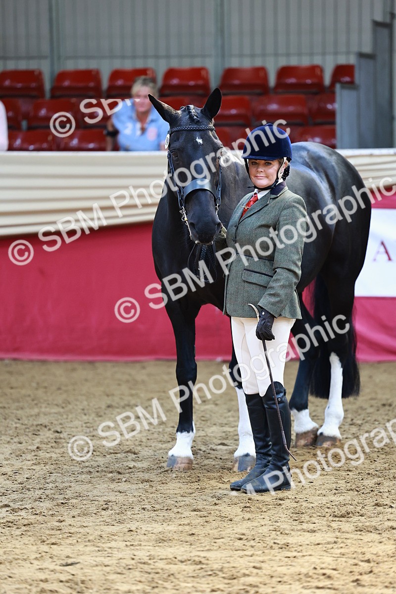 SBM_23154 - Class 903 - Supreme Final - IH Pre Vet