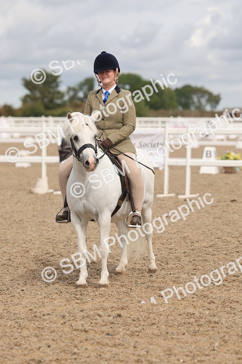 SBM_04536 - Class 19 - Horse/Pony Judge would most like to take home