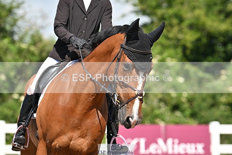 240621A-104026-01415 - Cls 4 BD Novice 22