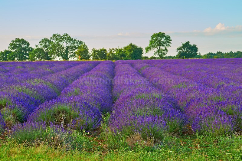  - Cotswolds