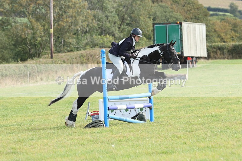 JPP_8600 - Class 2: Trekenning: 80cm Showjumping