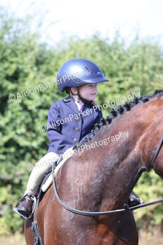 20250831-3201 - Class 24 - Absolute Beginners Pony