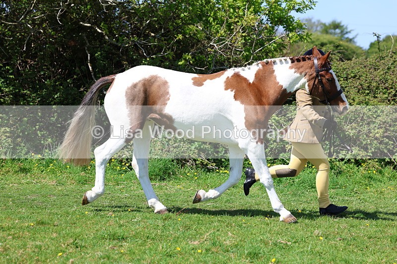 3E7A0309 - Class 19: Best Coloured in Hand