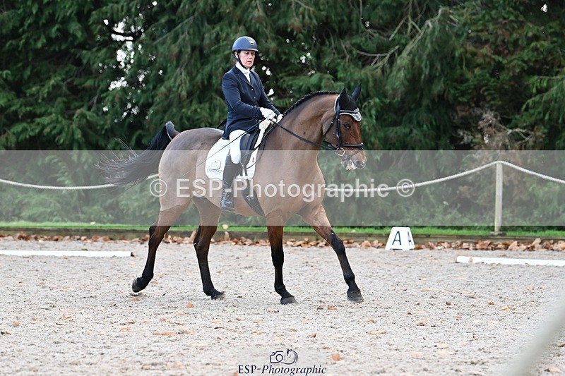 231110-143547-01974 - Cls 8 Medium 75Q